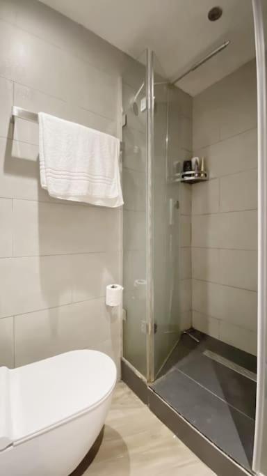 Villaer Modern Design 3brs 2f House Close To Victoria London