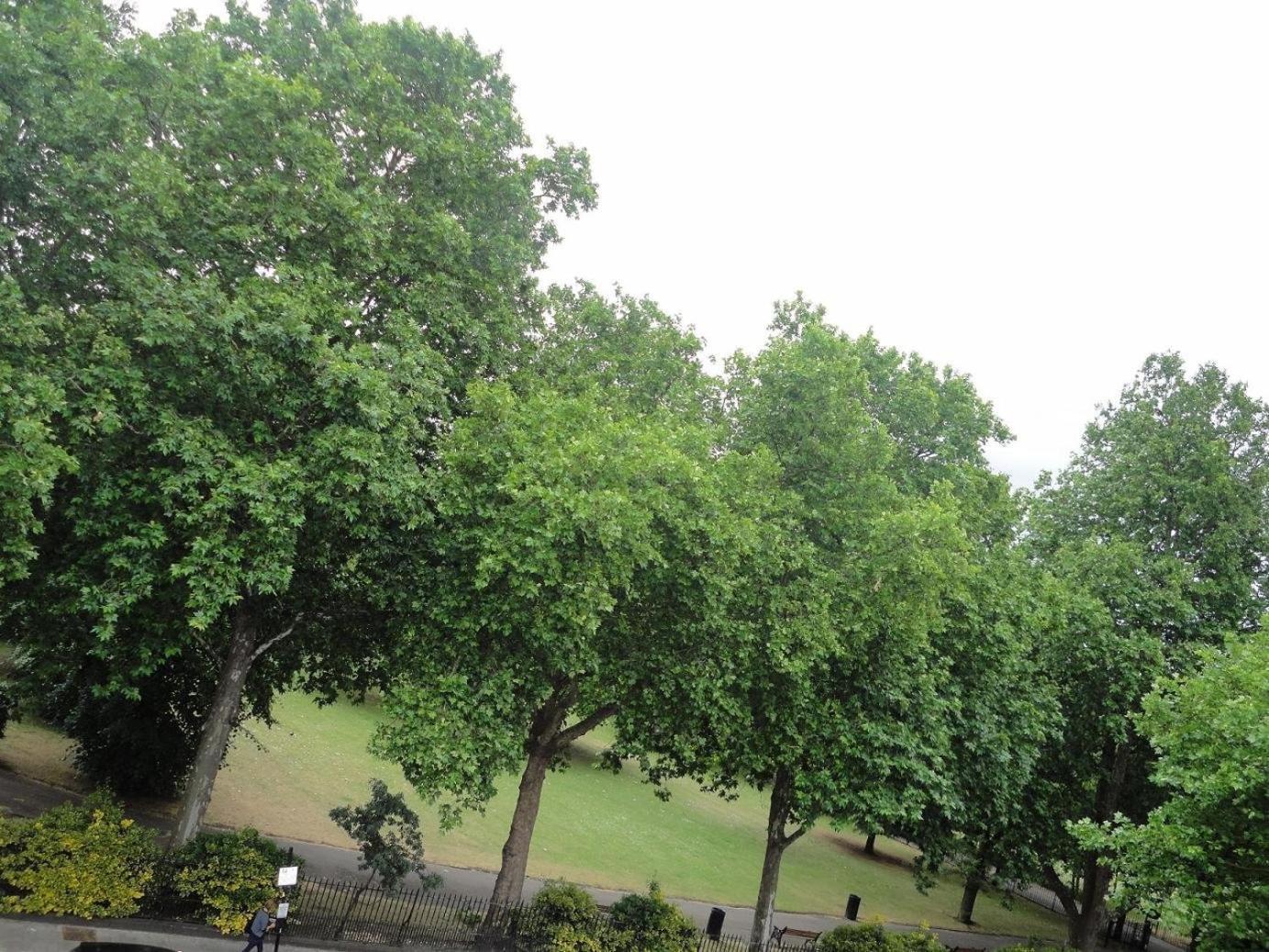 View Londen