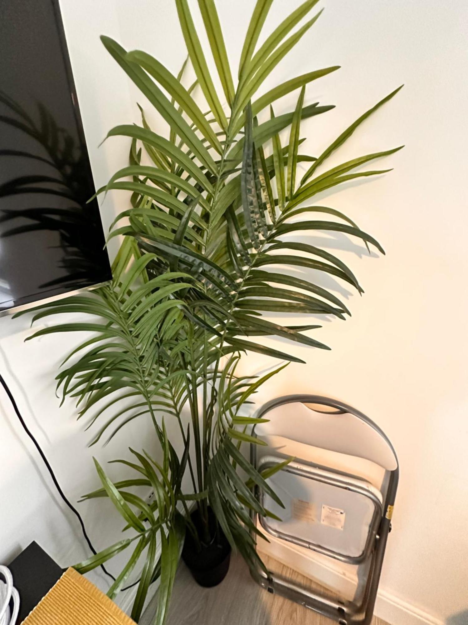 Lovely Self Contained Now Available Lägenhet London