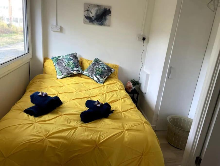 Spacious 2 Bedroom In Hoxton Appartement Londres