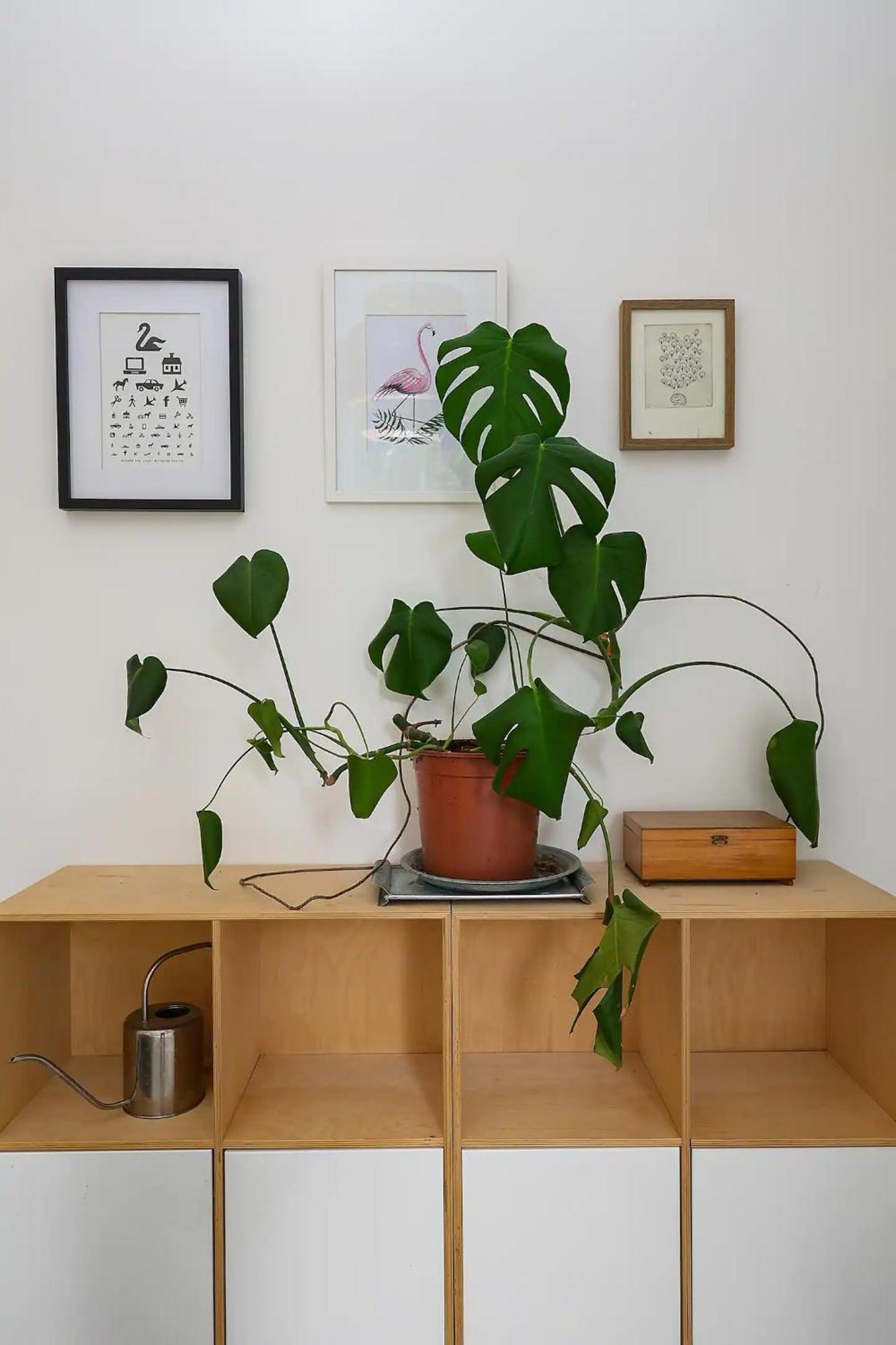 Pass The Keys Centrally Located Stylish Flat Appartement *
