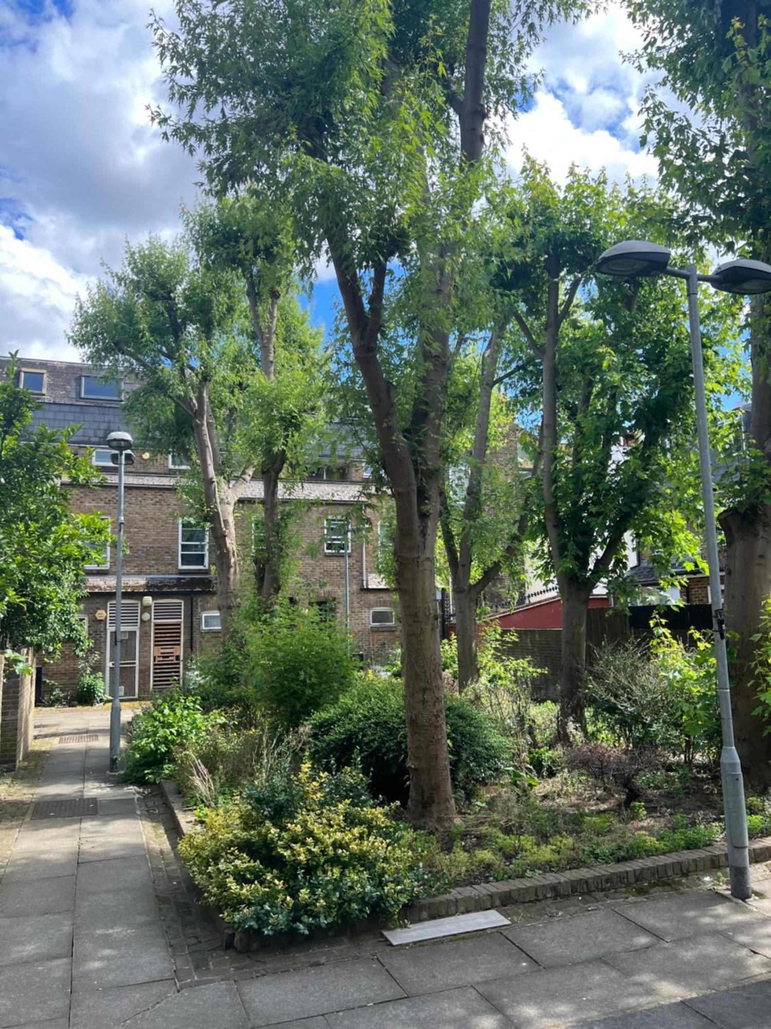 Lovely Entire Flat With Private Balcony In Euston-central * Londra