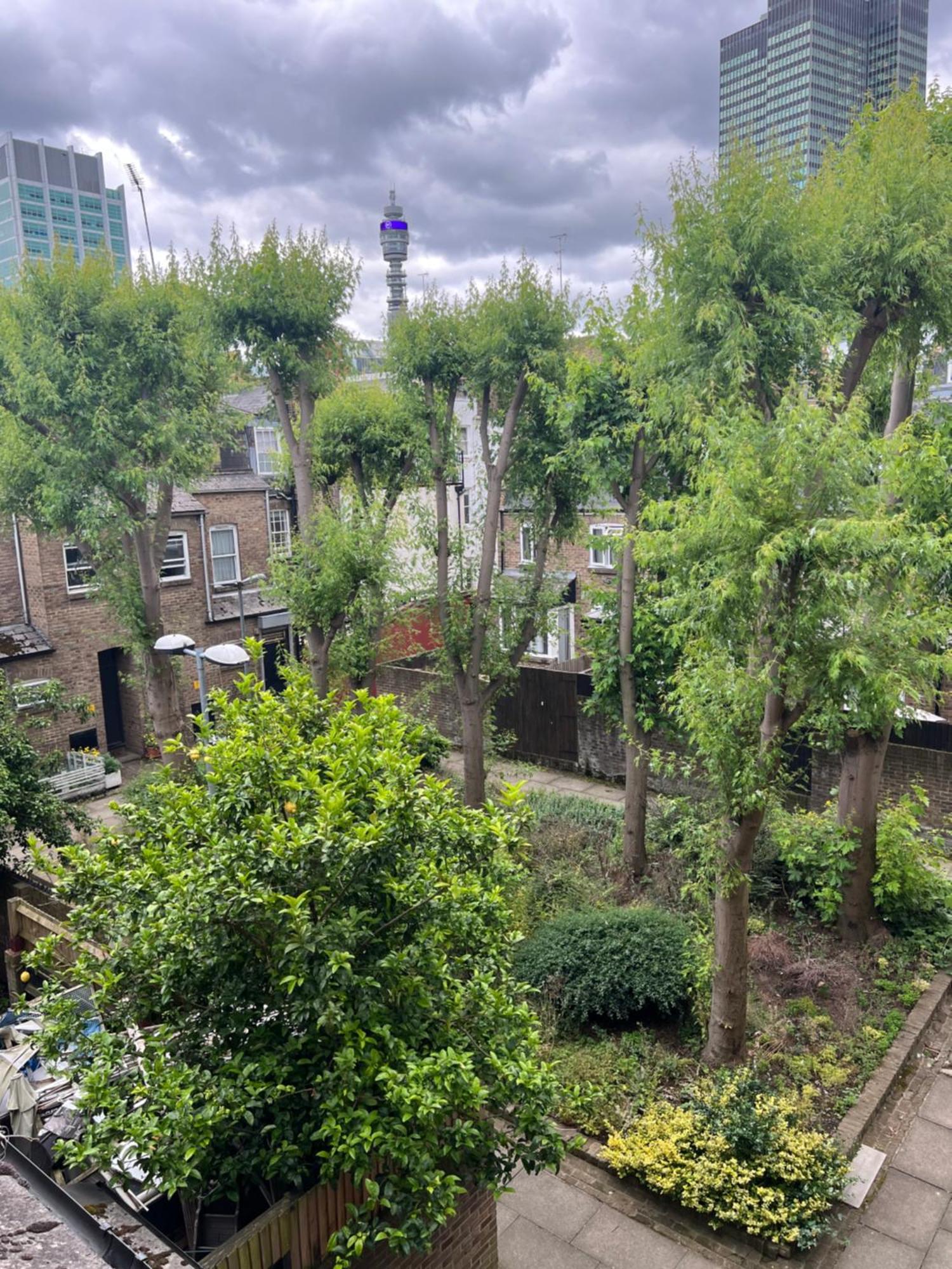 Lovely Entire Flat With Private Balcony In Euston-central * Londra