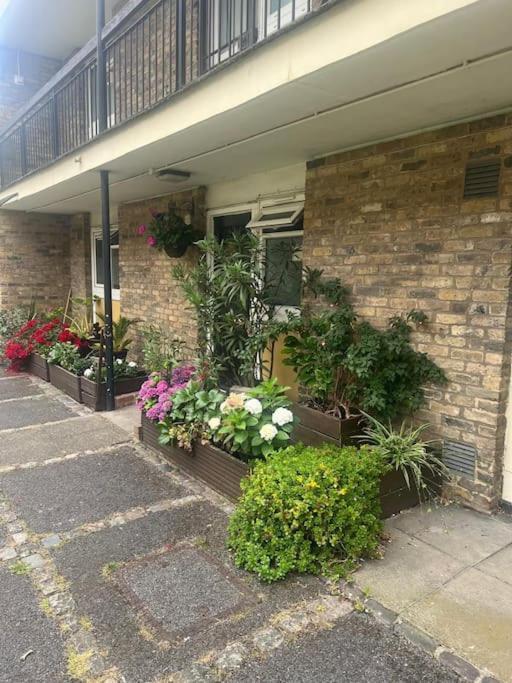 Beautiful 1 Bedroom House With Garden Appartement Londres