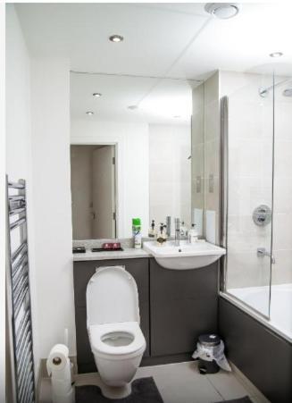 Lodge Kayz Lodge- Luxury Ensuite-private & Shared In A New House At The Olympic Village Overlooking Stratford Westfield And Tube Station Londra