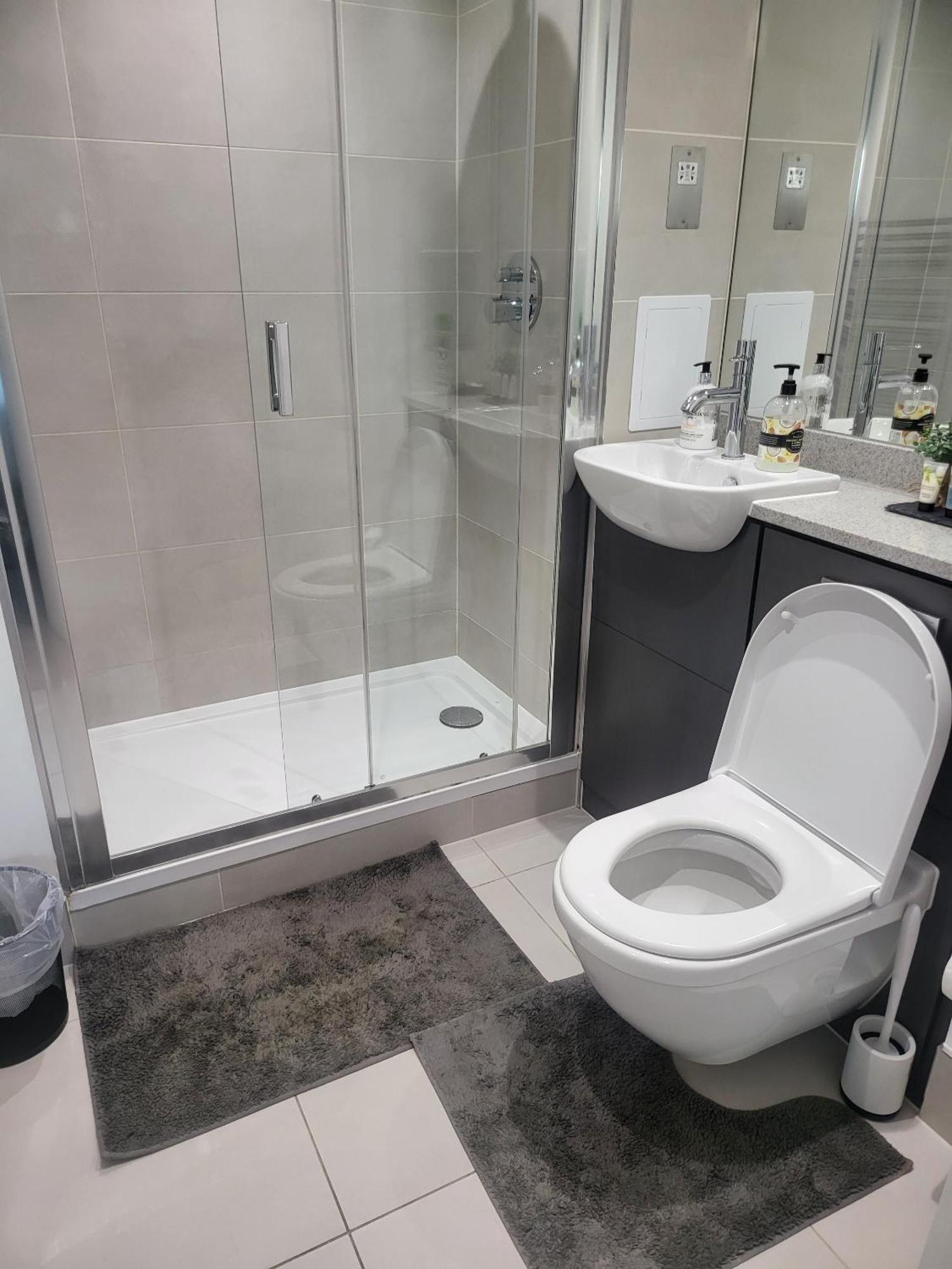 Kayz Lodge- Luxury Ensuite-private & Shared In A New House At The Olympic Village Overlooking Stratford Westfield And Tube Station Londra