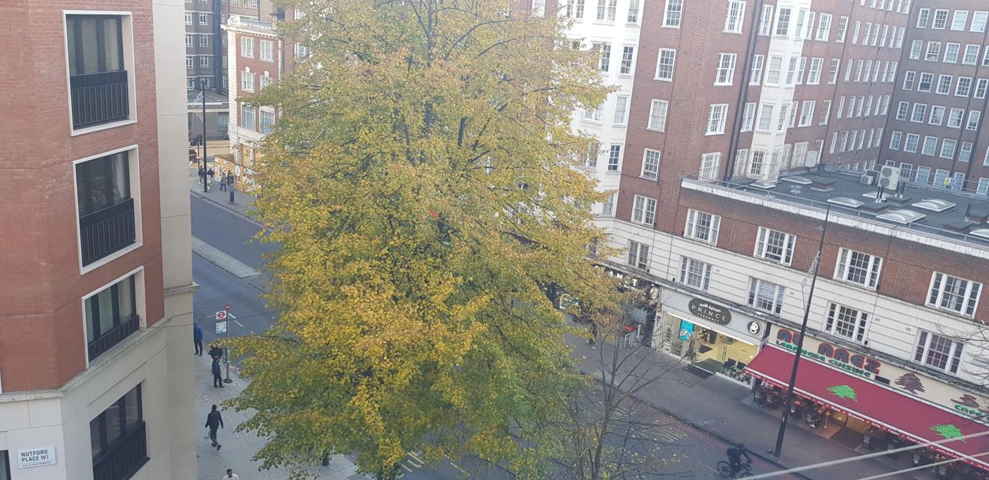 Entire Aptartment On Main Edgware Road, Near Marble Arch, Oxford Street And Hyde Park * Londen