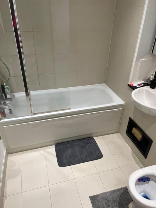 Modern, Luxurious 1 Next To Station, Few Stops Away From Appartement Londen