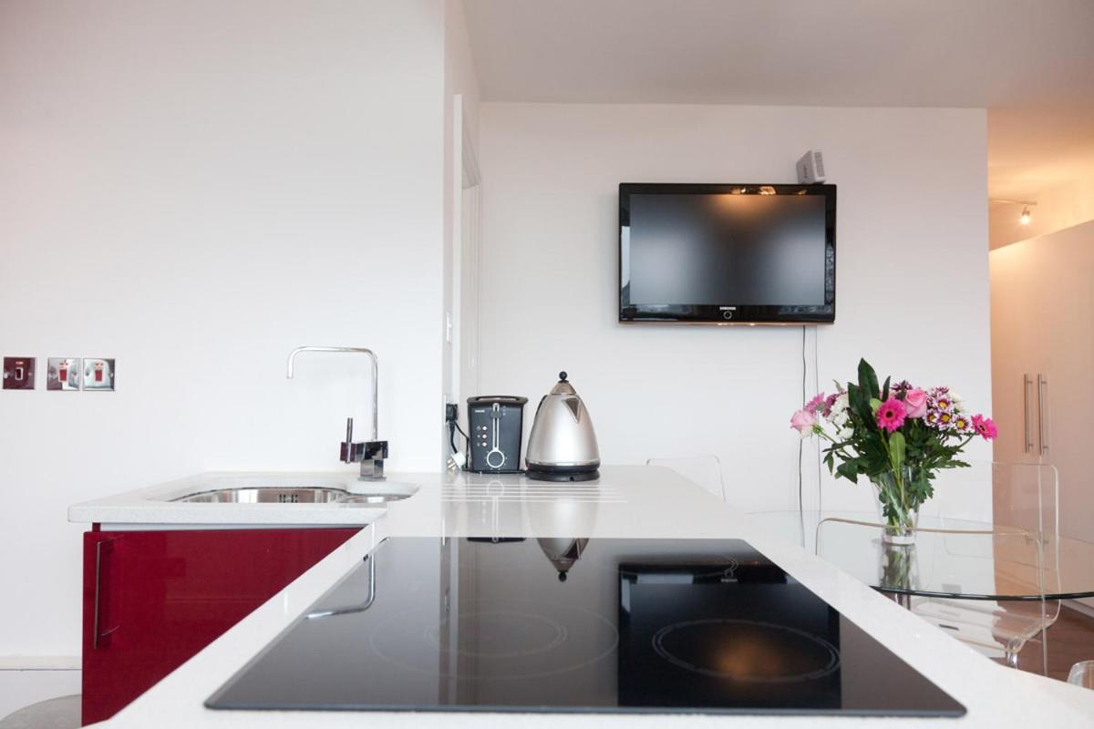 One Bed Flat Piccadilly Circus Lägenhet