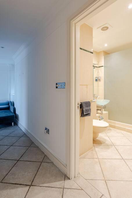 Stunning Duplex Penthouse With Shard Views Appartement *
