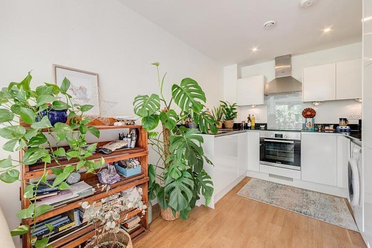 Cozy Bright By Canonbury And Newington N1 Lejlighed