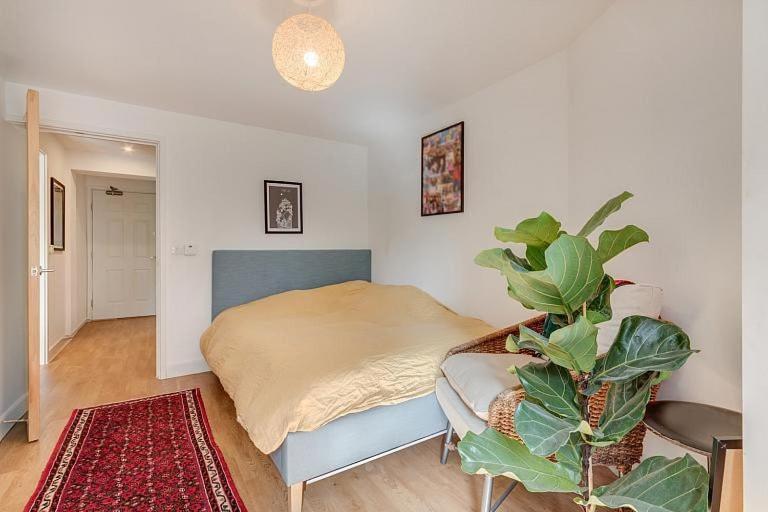 Cozy Bright By Canonbury And Newington N1 Lejlighed London