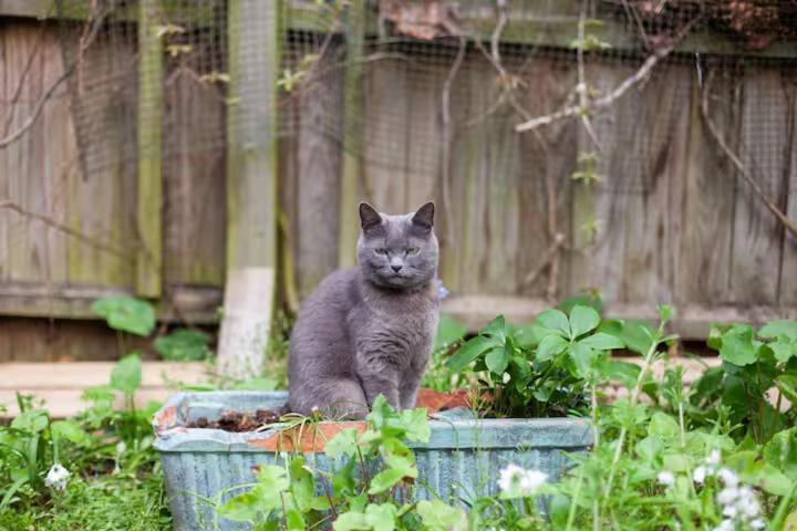 Self Contained Garden Londres
