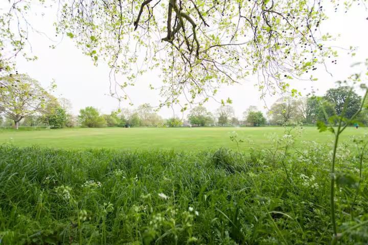 Self Contained Garden * Londres
