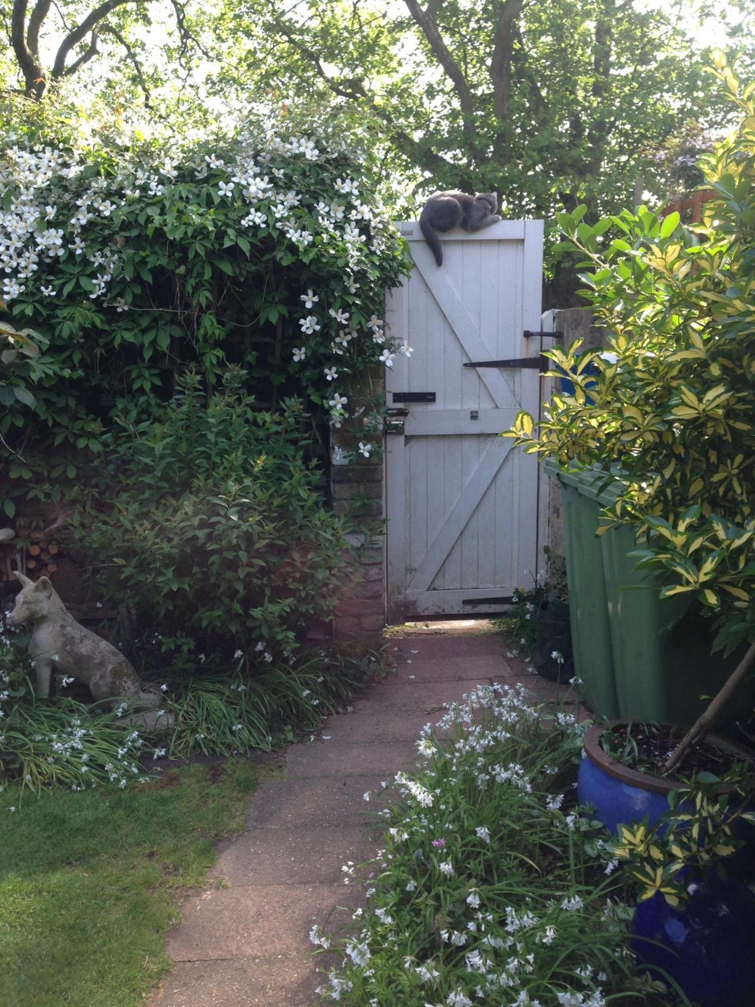 Couette-café Self Contained Garden *