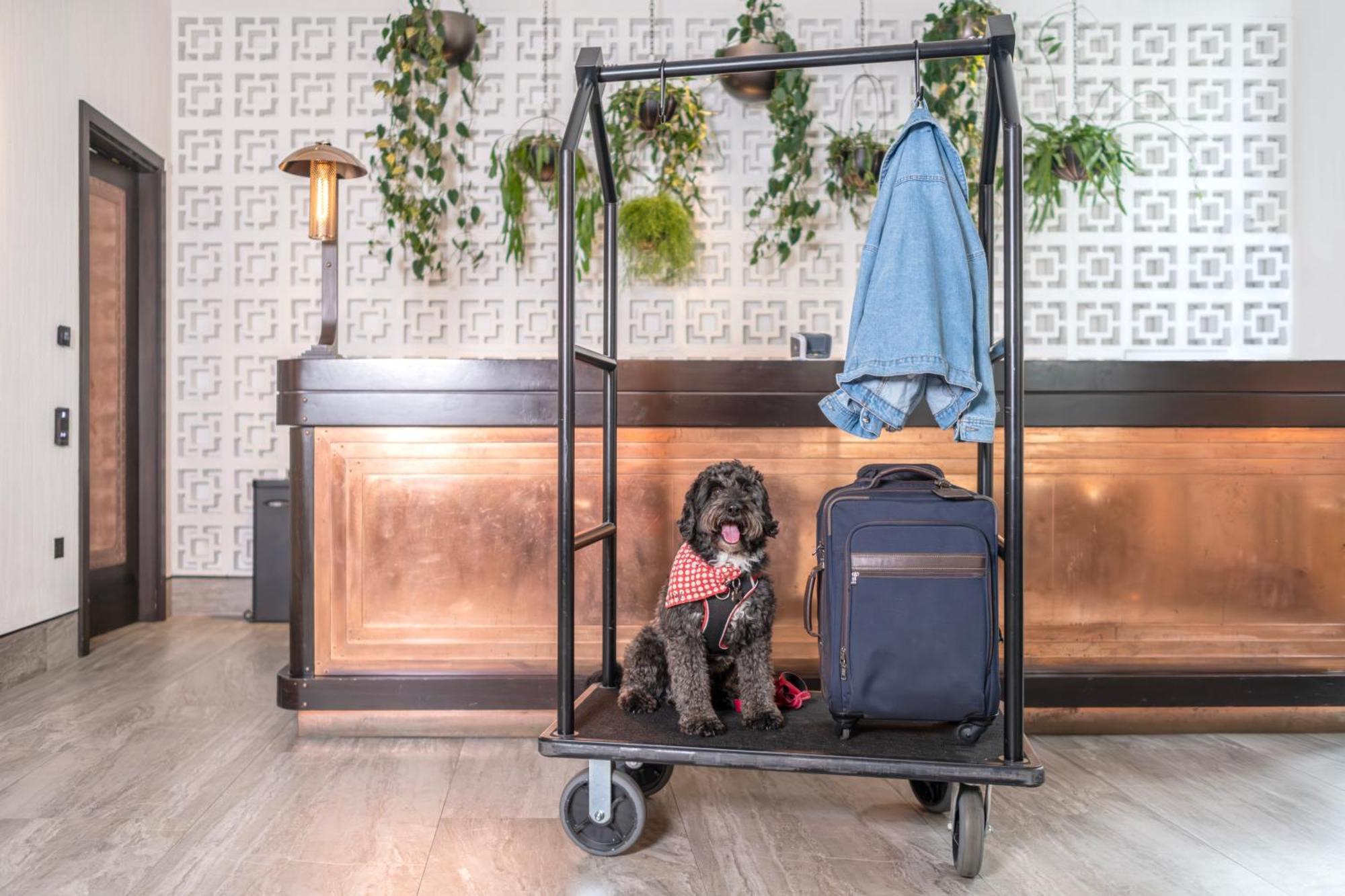 Hart Shoreditch London, Curio Collection By Hilton Hotell 4*