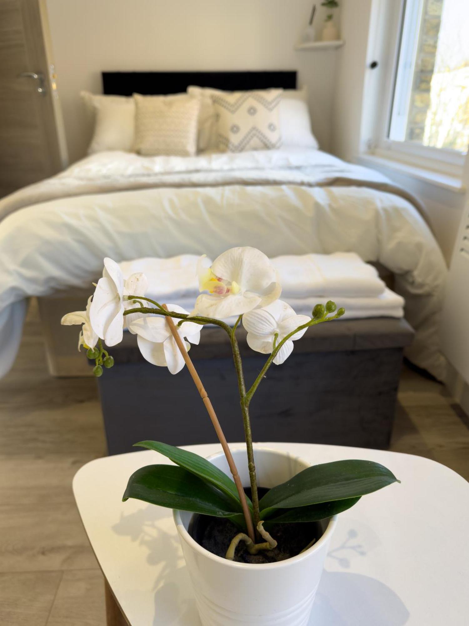 Flat 20 Min From Center Apartment