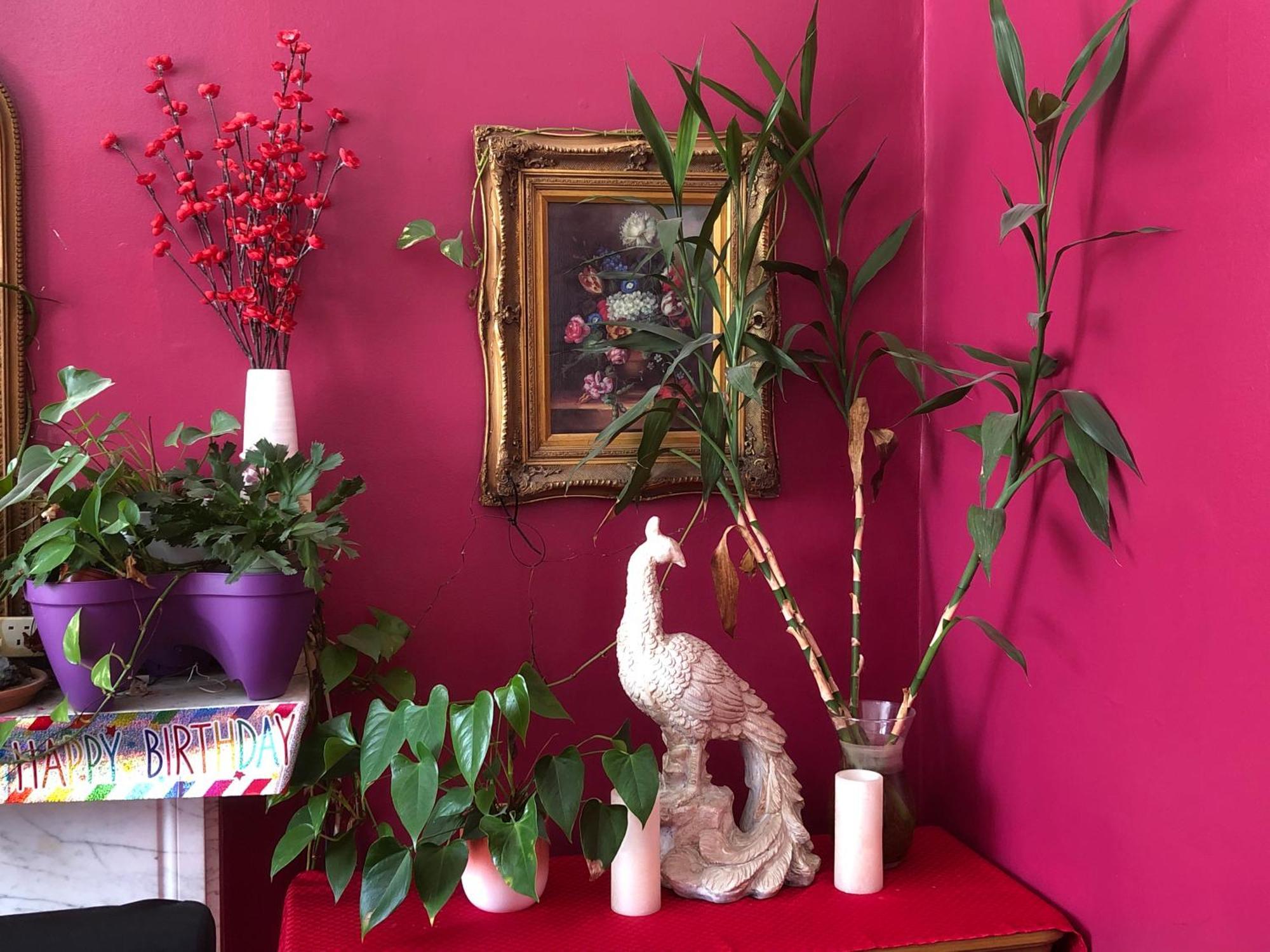 Sjguesthouse Single A Londres