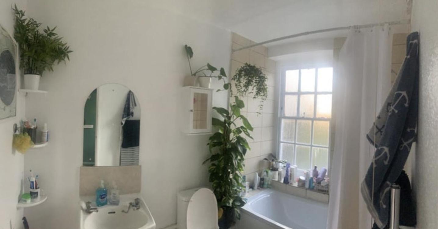 Leilighet Amazing 2 Bedrooms Flat In Islington *