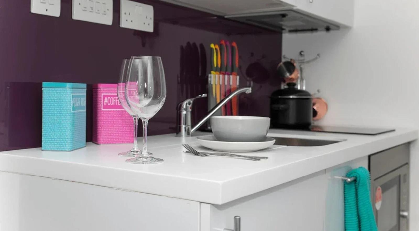 Lejlighed Exclusive Student Only Modern In The Heart Of Londons Academic And Cultural Hub