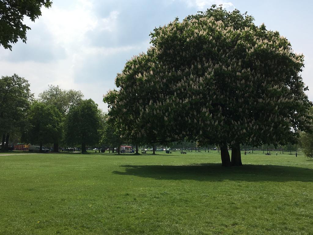 Hotell Clapham South Dudley London