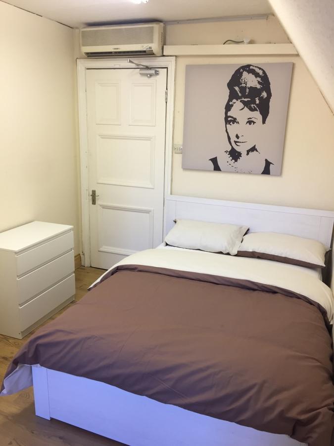 Hostel Amity *