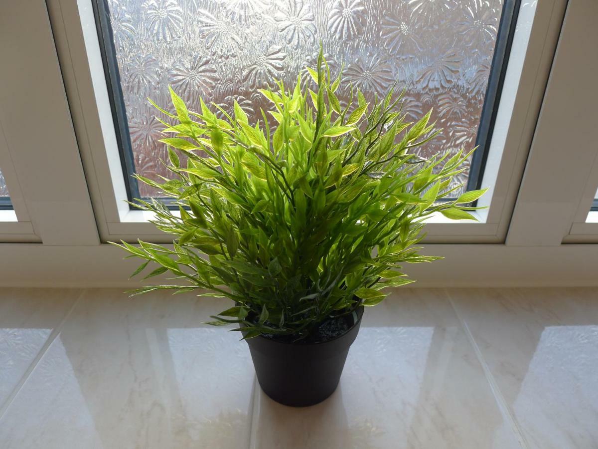 Wembley Homestay * London