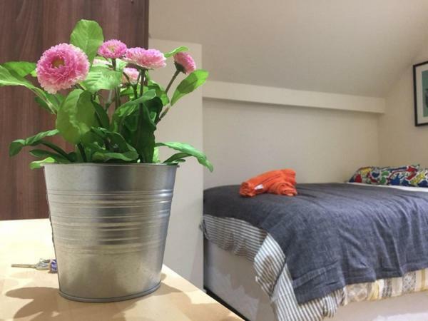 Vandrerhjem Accommodation London *