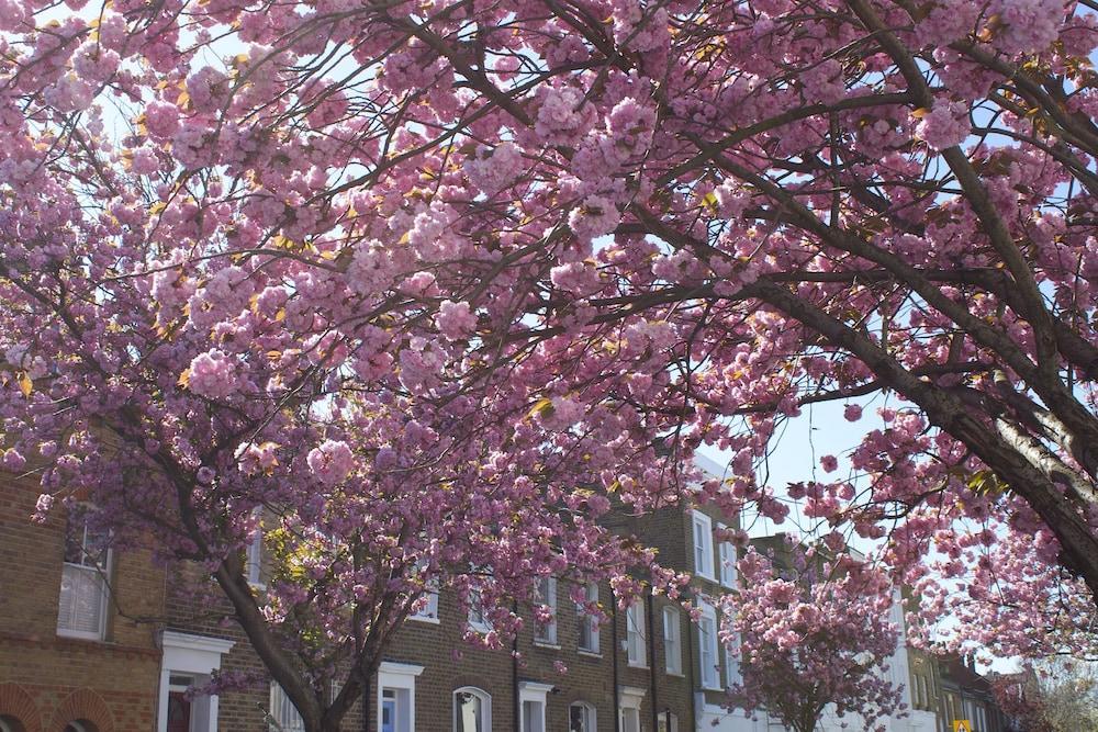 Appartement Kensington Olympia