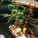 The Oak Tree
