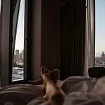 The Londoner