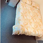 Lovely Room In Tottenham