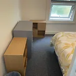 Lovely Room In Tottenham