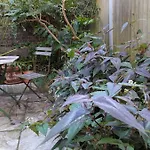 East London Apartment