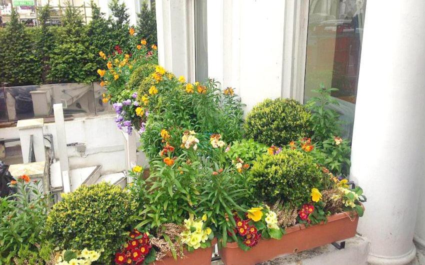 Holland Hotel Londen