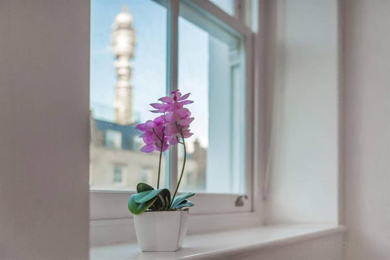 Lägenhet Ideal One Bedroom Close To Oxford Circus Area, Vr