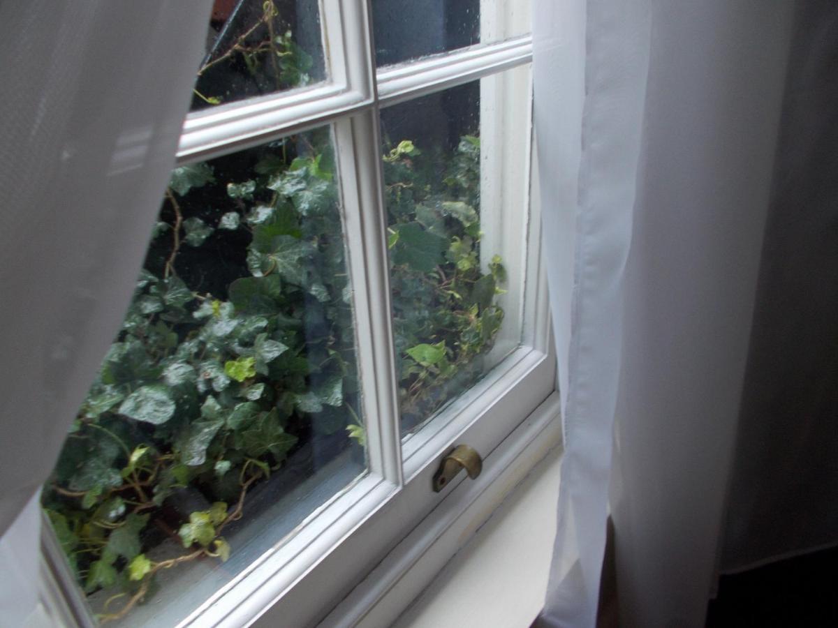 Double With Private Bathroom In Flat Centre Rum i privatbostad London