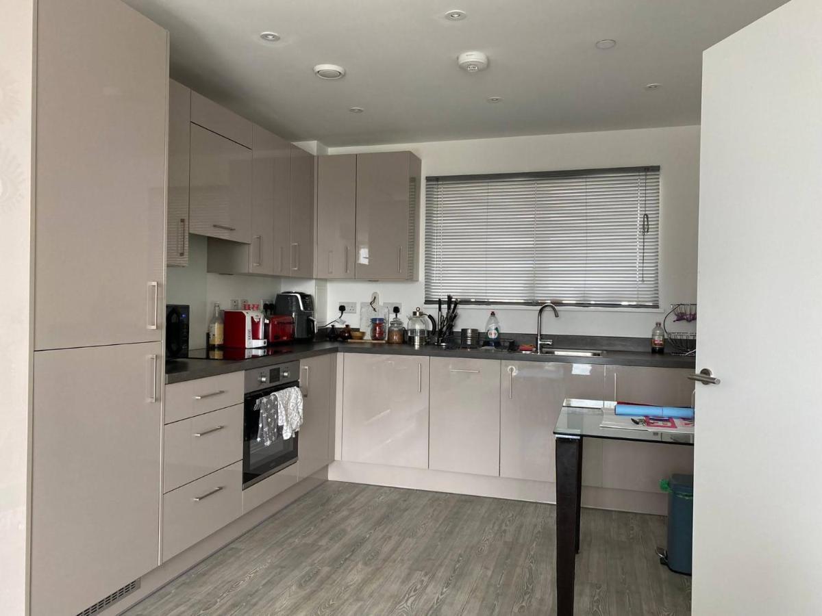 Entire Riverside With Balcony Appartement Londen