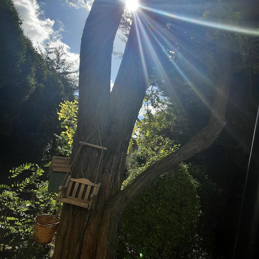 Homestay The Oak Tree *