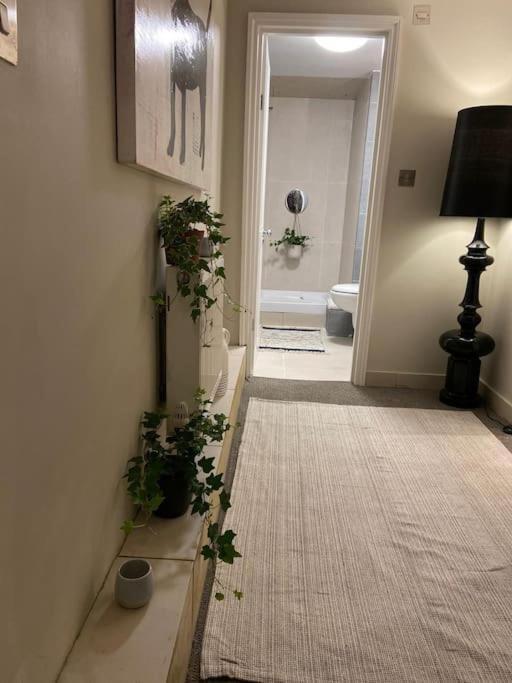 Appartamento Ivy House-period Garden Flat Chelsea/fulham