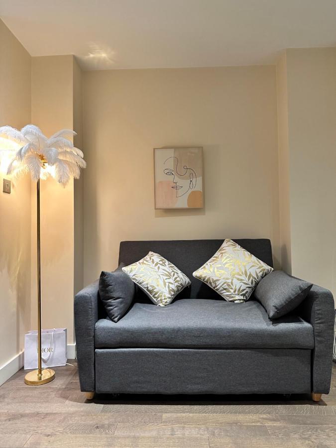 1 Spacious Luxury Bedroom Flat On Oxford St, Next To Selfridges Lägenhet London