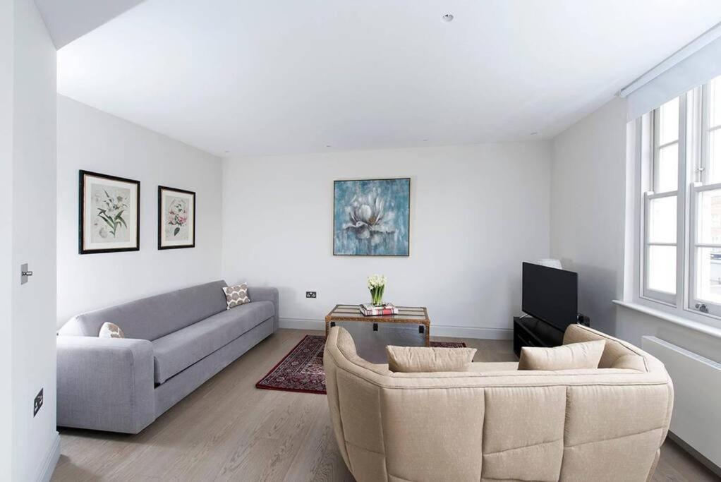 Recently Redecorated Spacious And Modern 1br Flat In West Apartment