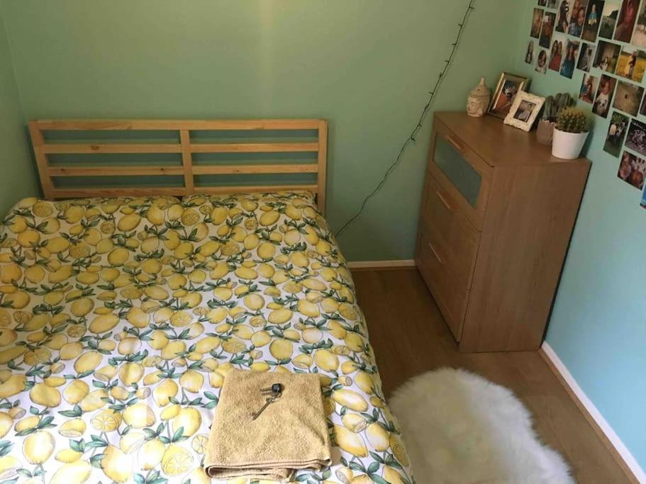 Appartement Aaron Hill