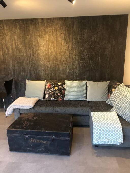 Apartment Brand New Studio Outhouse Putney Sw15