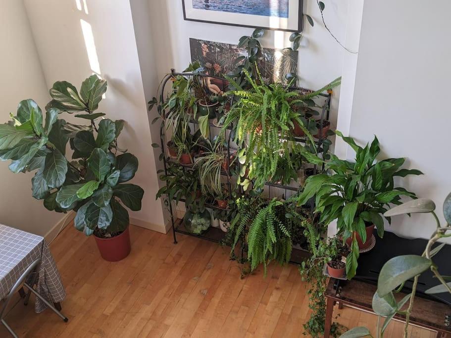 Spacious, Historic Schoolhouse Apartment