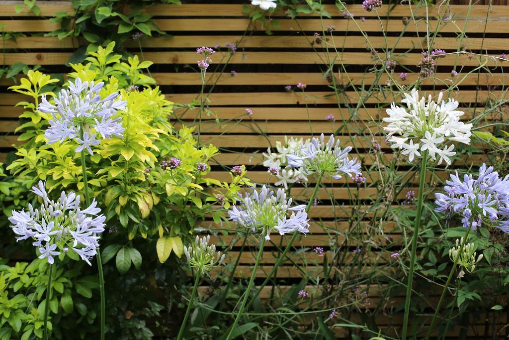 Shoreditch 1 With Garden Appartement Londen