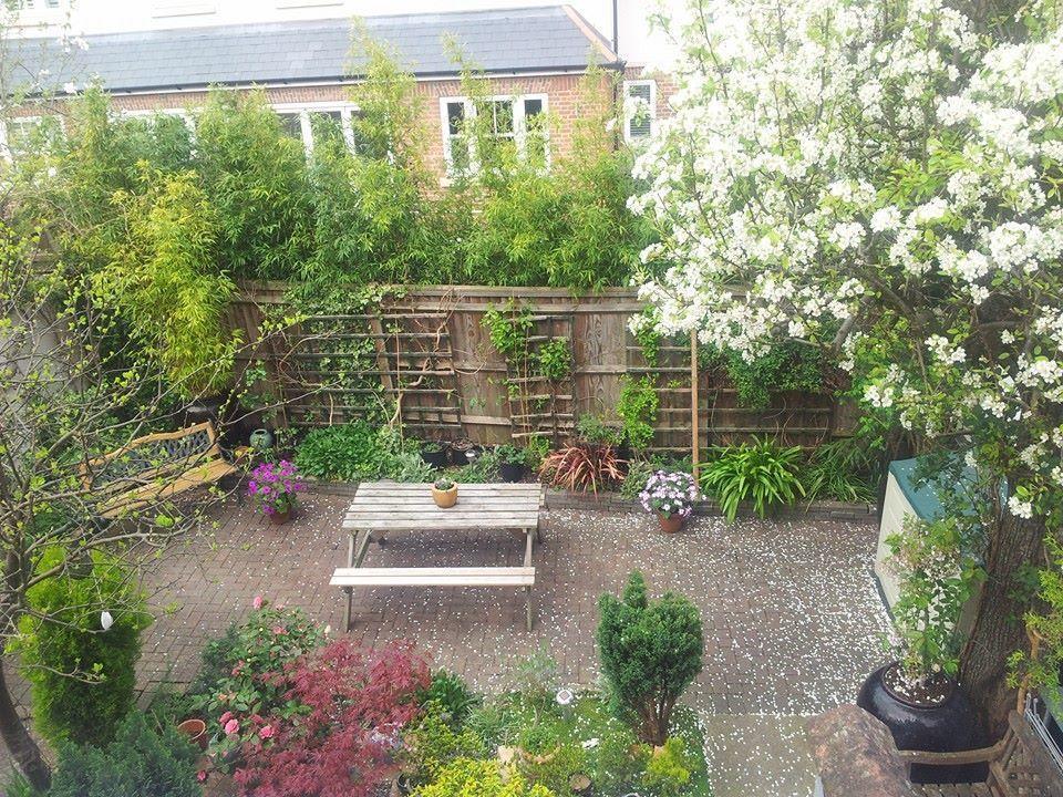 Gasthuis Compton 3*