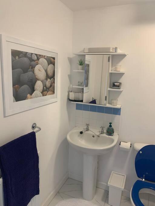 Lejlighed Flat In Hackney