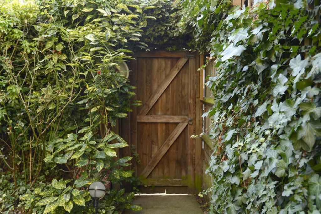 Shoreditch 1 With Garden Appartement