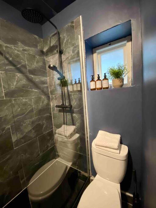 Appartamento Stylish For 3 Near Regents Park N4 Londra